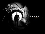 Daniel Craig Skyfall desktop wallpaper