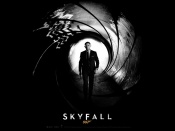 Daniel Craig Skyfall desktop wallpaper