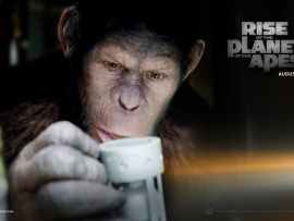 rise of the planet of the apes wallpaper2 1680 (click to view)