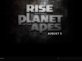 rise of the planet of the apes wallpaper6 1680 (click to view)