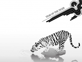 Tiger2010 (click to view)