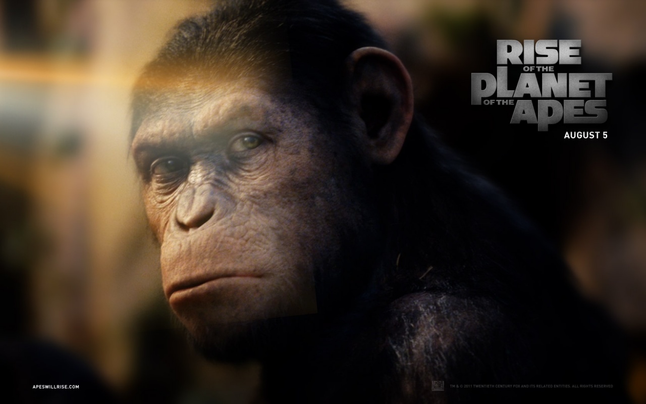 rise of the planet of the apes wallpaper4 1680