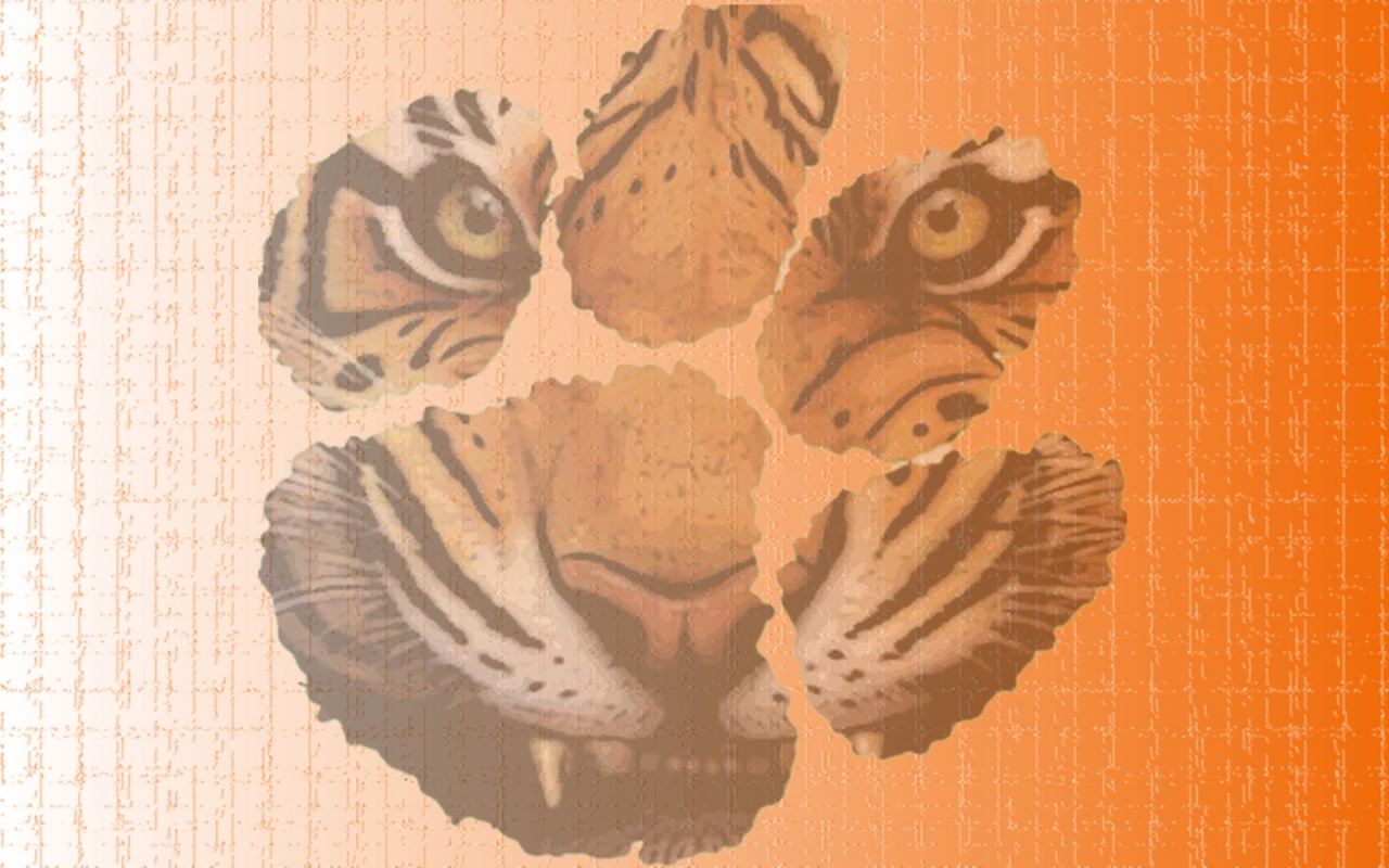 Tiger2010