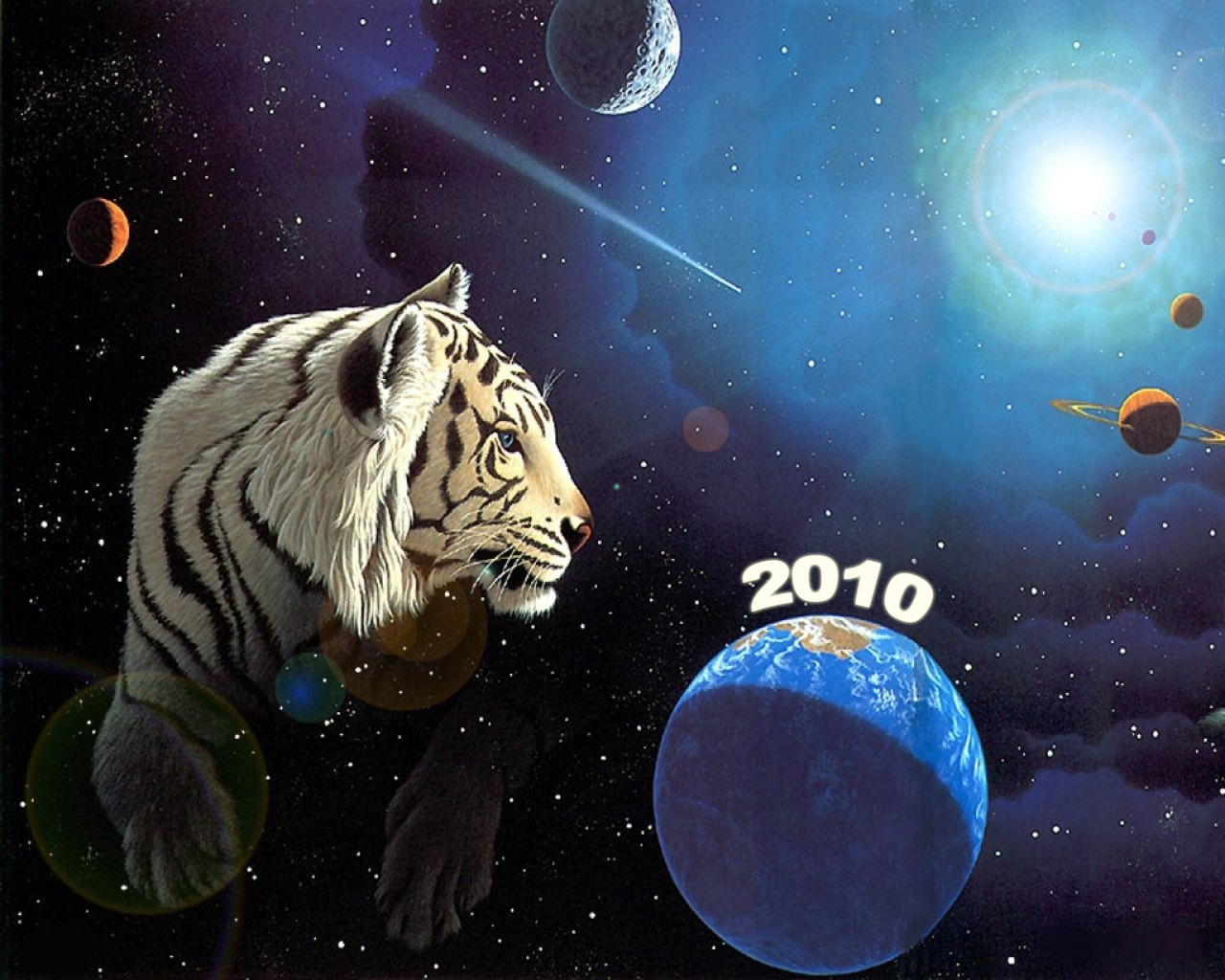 Tiger2010